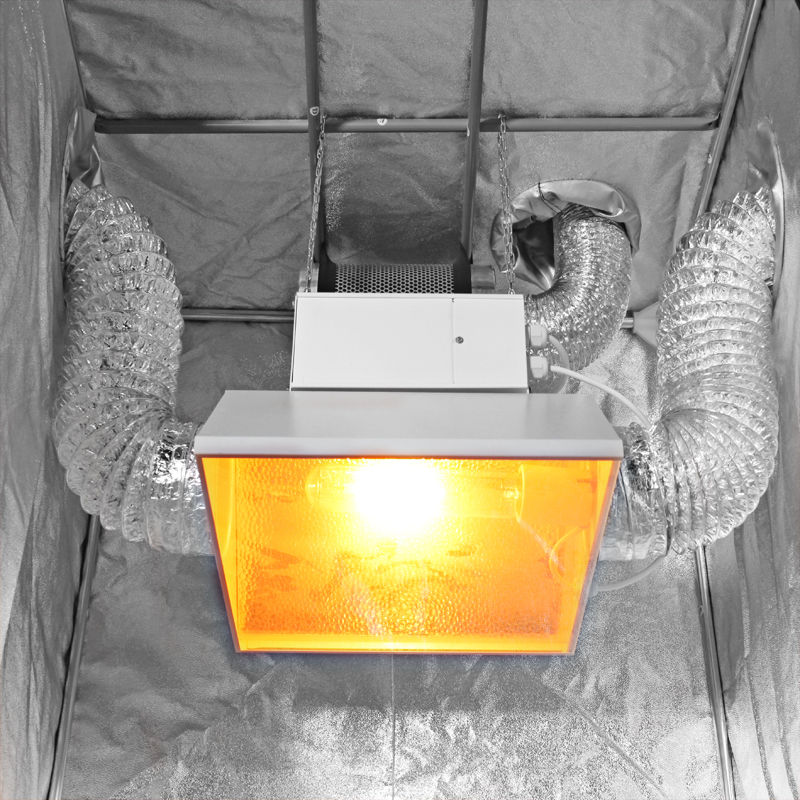 Гроубокс с ДНаТ