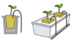 гидропонный капельный полив